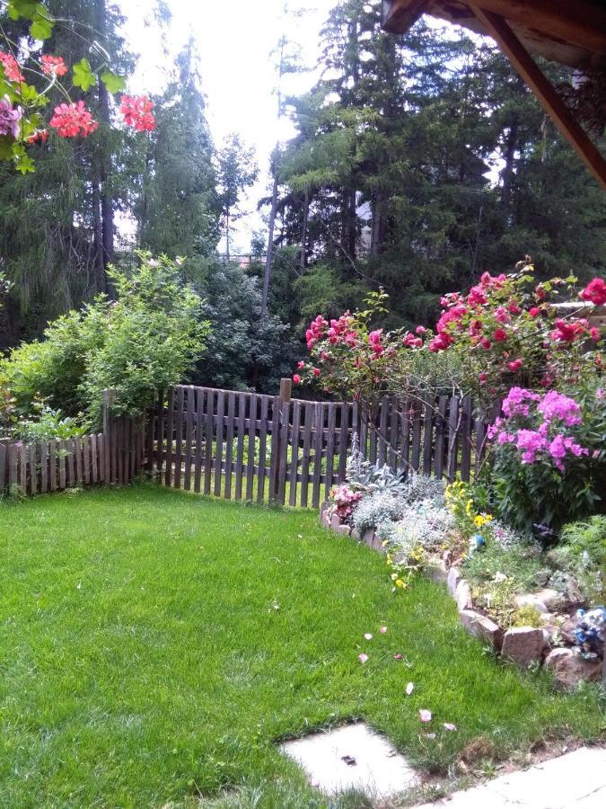 فيغو دي فاسا Achillea Bed & Breakfast المظهر الخارجي الصورة